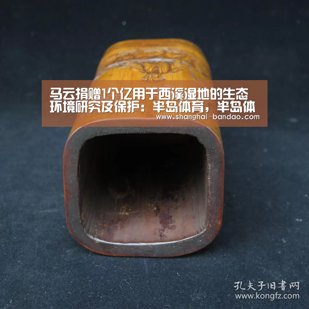 半岛体育，半岛体育官网，Bandao Sports，半岛体育官方网站，半岛体育app下载